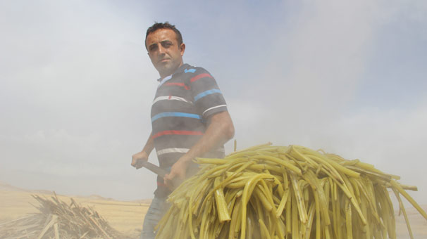 Birkaç bidonla başlayıp fabrika kurdular