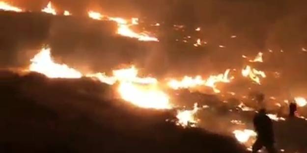 Birkaç farklı noktadan çıkan yangın Filistinlilerin bahçelerini yok etti!