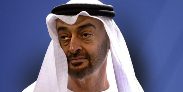 'Birleşik Arap Emirlikleri, Avrupa'da İslam düşmanlığını besliyor!'