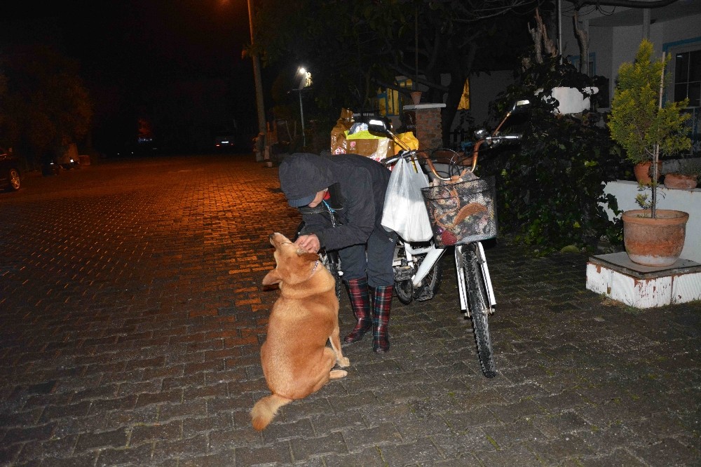 Bisikletiyle sokak sokak dolaşıp kedi ve köpekleri besliyor 