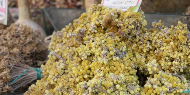 Bitki çaylarına rağbet arttı