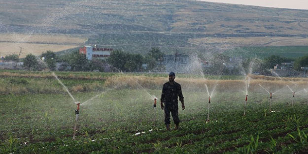 Bitki korumada dışa bağımlılık azalıyor