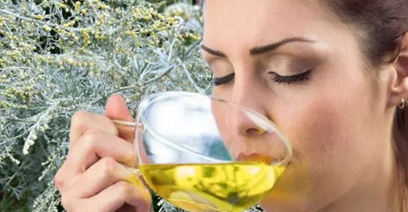 Bitkilerin Profesörü açıkladı! Kanser hastaların yeni umudu Peygamber Süpürgesi