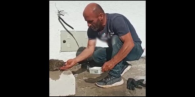 Bitkin halde bulduğu kirpiye elleriyle su içirdi