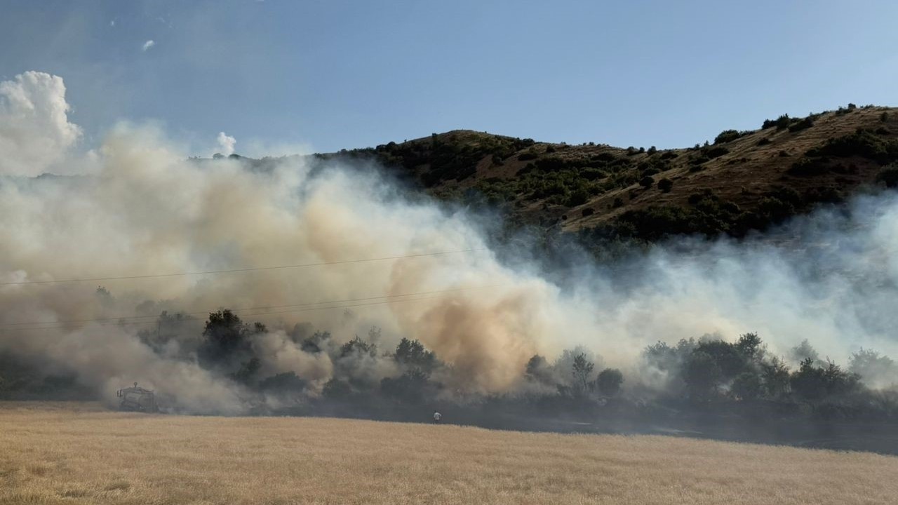 Bitlis’in Güroymak ilçesinde buğday tarlasında yangın