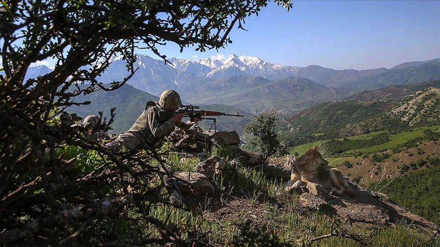 Bitlis'te 2 terörist etkisiz hale getirildi