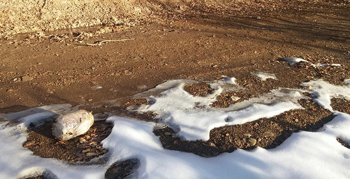 Bitlis'te 3 adet el yapımı patlayıcı imha edildi