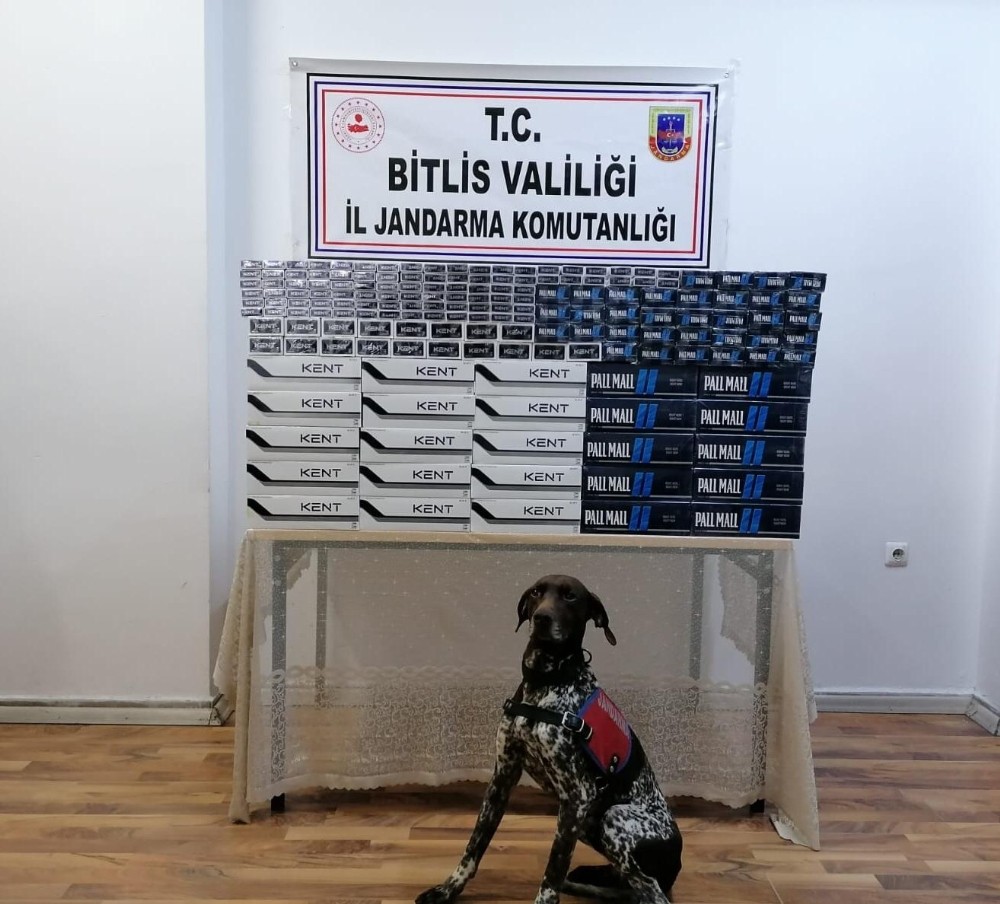 Bitlis’te 5 bin 150 paket kaçak sigara ele geçirildi 