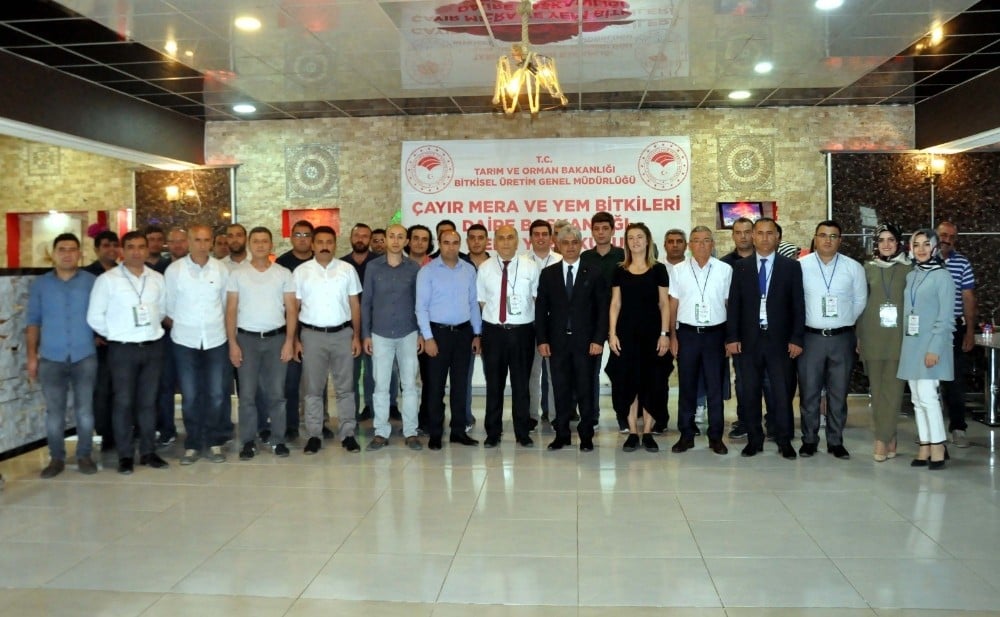 Bitlis’te 9 ilin katılımıyla çayır mera ve yem bitkileri yaz okulu eğitim programı başladı 
