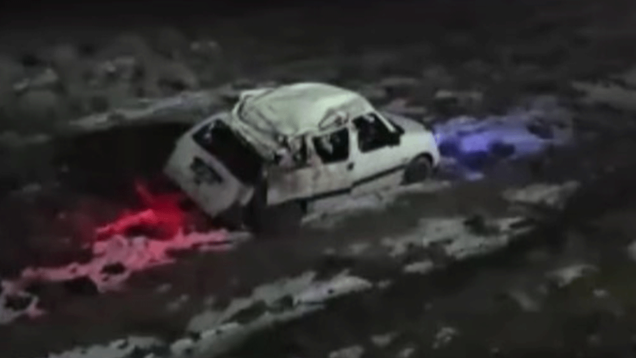 Bitlis'te domuz sürüsü kazaya neden oldu!