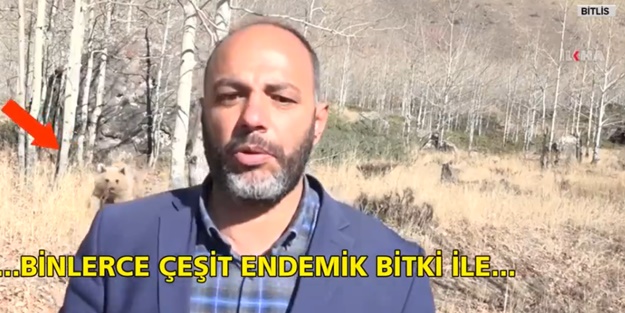 Bitlis'te habercilere ayı saldırdı!