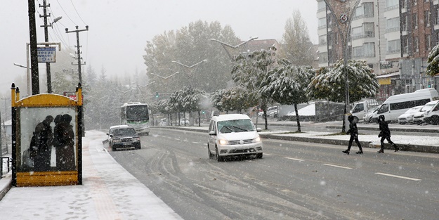 Bitlis'te kar yağışı etkili oldu