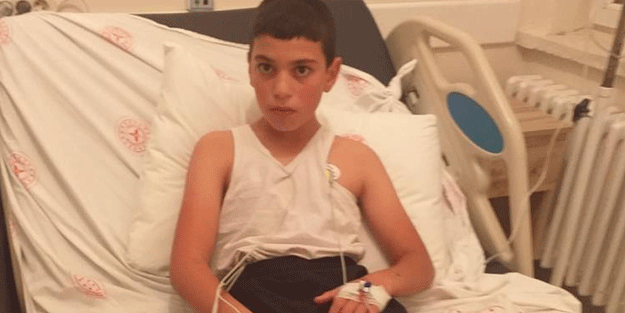 Bitlis'te köpek ısırması sonucu kuduz olmuştu! Acı haber geldi