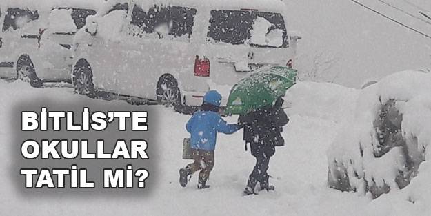 Bitlis’te okullar yarın tatil mi? Bitlis okullar tatil mi? 11 Ocak 2022 Salı Bitlis’te kar tatili!