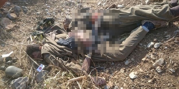 Bitlis'te öldürülen terörist bakın kim çıktı
