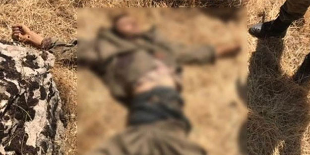 Öldürülen PKK’lı terörist virüslü çıktı