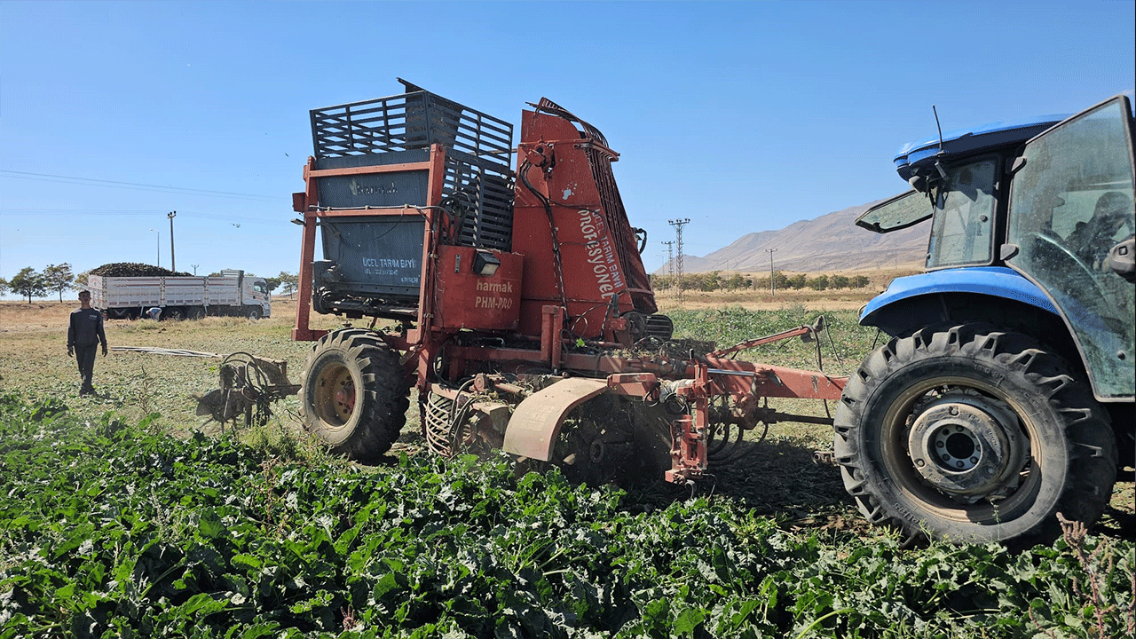 Bitlis’te şeker pancarı bereketi başladı! Sökümüne başlanıldı