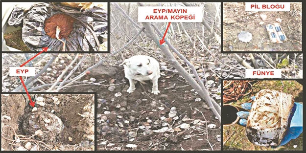 Bitlis’te terör örgütüne darbe