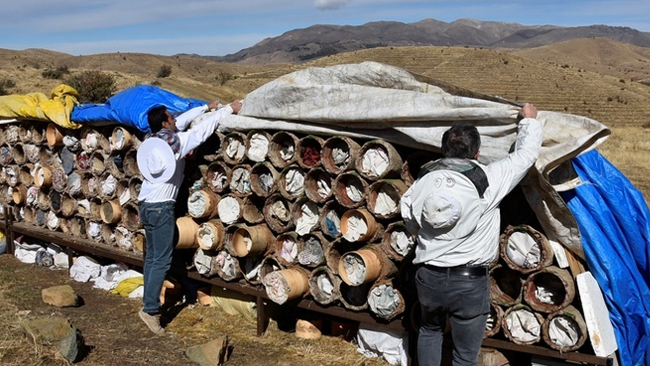 Bitlis'teki yaylalarda bal hasadı devam ediyor