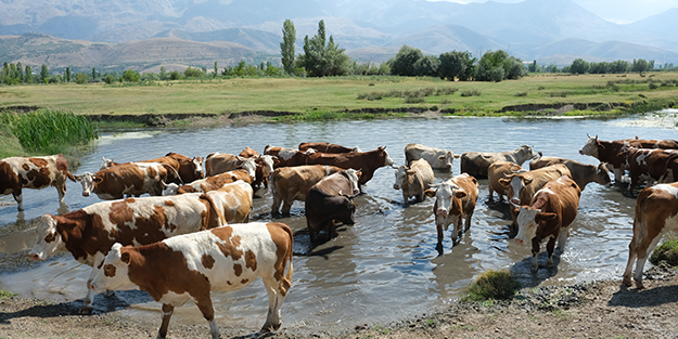 Bitme noktasına gelen meslek! Aylık 40 bin lira maaşa çalışan eleman yok