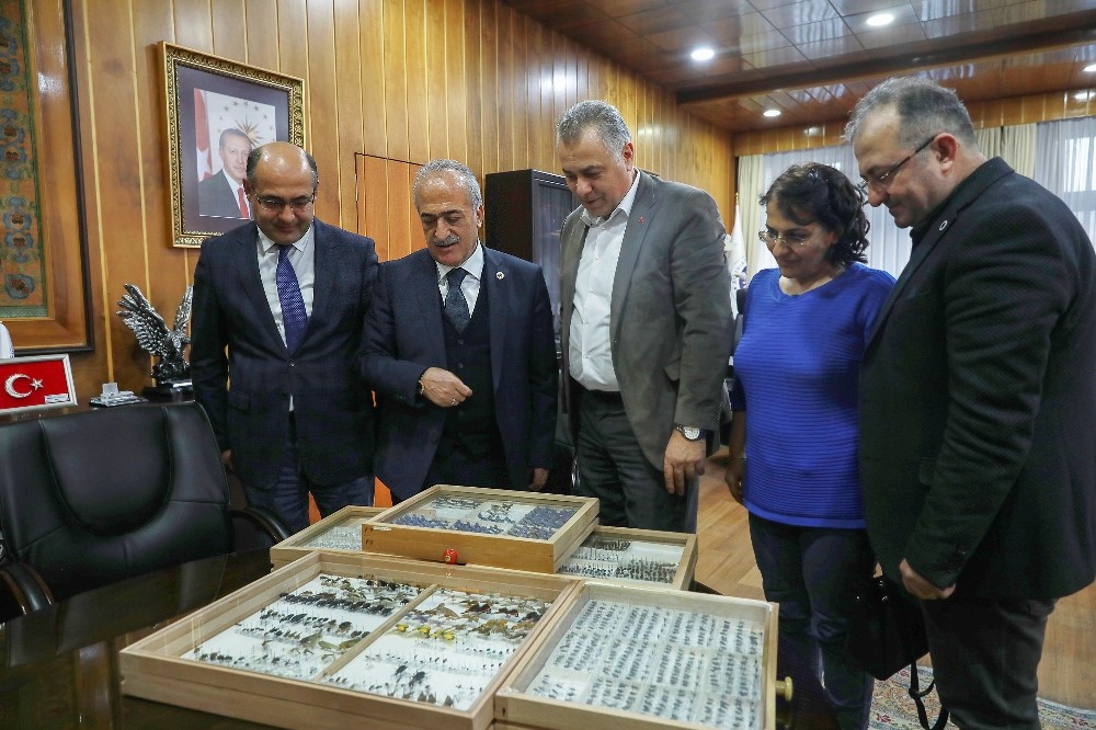 Biyoçeşitlilik müzesi, doğal varlıklara ev sahipliği yapacak 