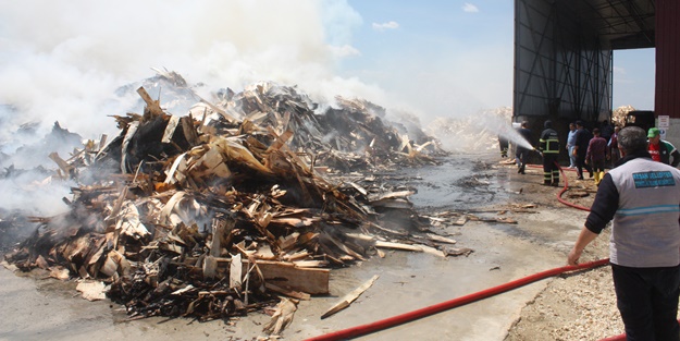 Biyokütle Enerji Santrali'nde yangın