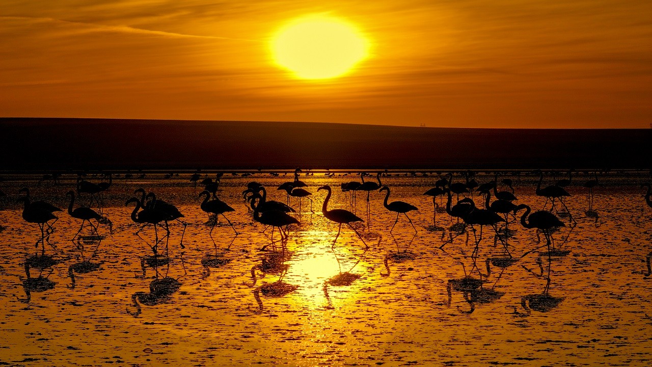 Biyolojik çeşitliliğin kalbi: Düden Gölü