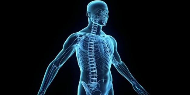 Biyolojik saatinize uygun yaşamalısınız