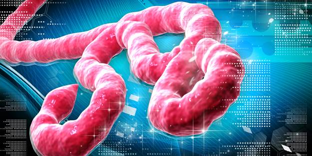 'Biyolojik silah' Ebola nedir?