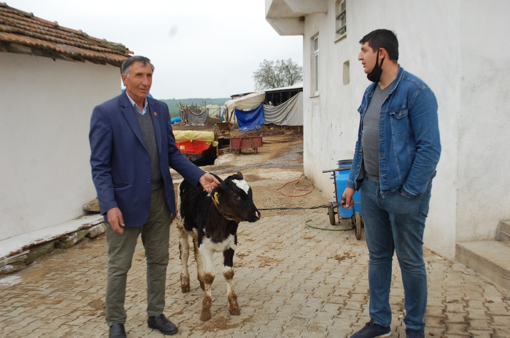 ‘Biz Bize Yeteriz Türkiyem” deyip buzağını sattı 