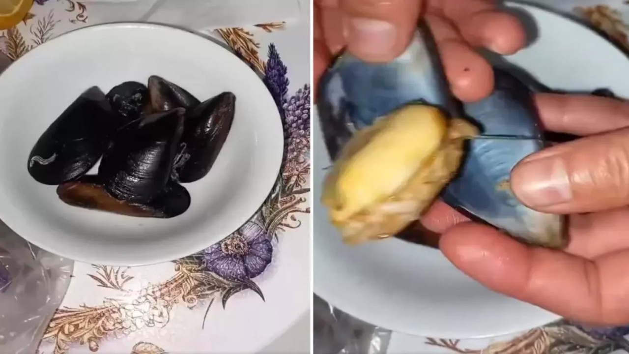Bize ne yediriyorlar böyle! İçinden çıkanlar şok etti: İşte midyeye tövbe ettirecek görüntüler