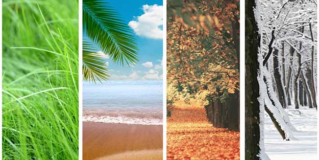 Bizim iklim takvimimiz