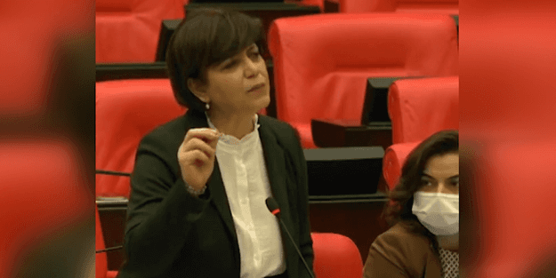 Asker, polis vurmak hangi kitapta yazıyor Meral?