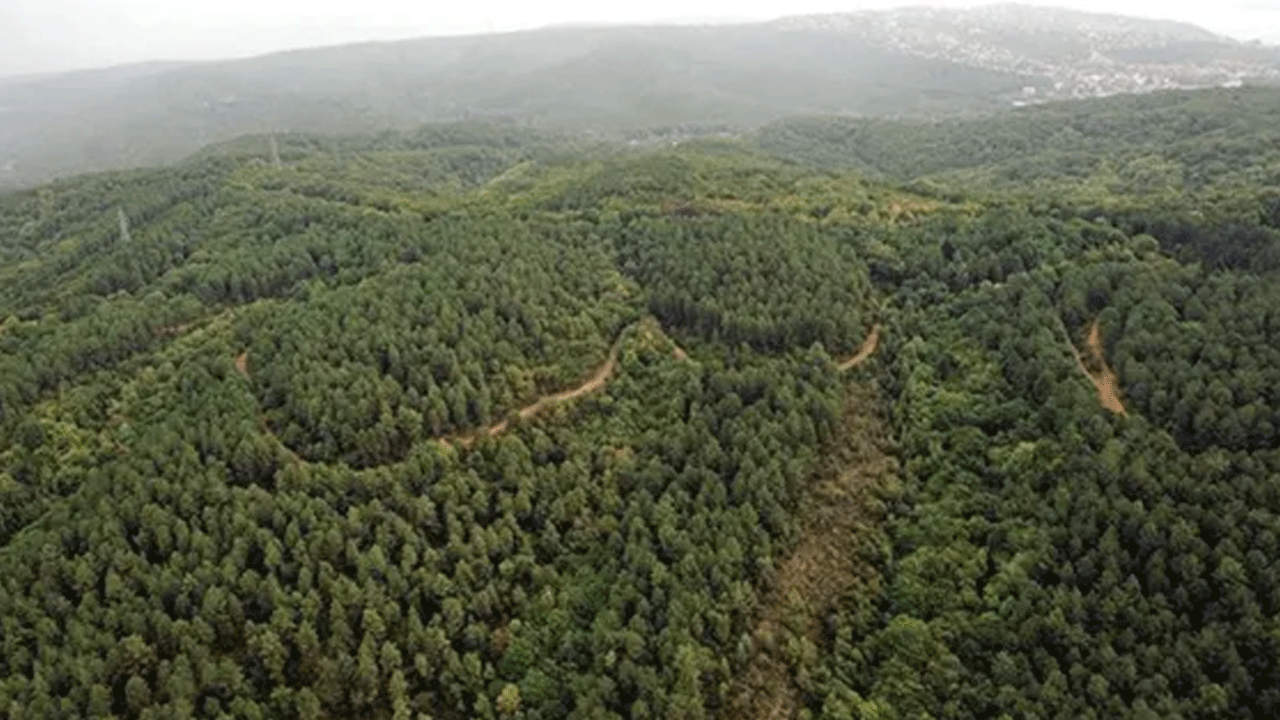 BM yayımladı! Türkiye Avrupa’da birinci dünyada dördüncü sırada