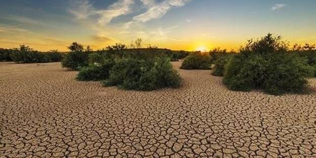 BM'den iklim değişikliği açıklaması!