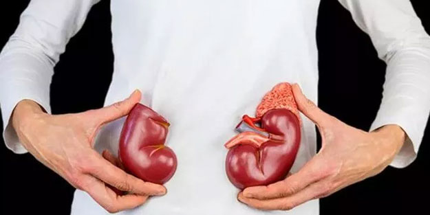 Böbrek sağlığına iyi gelen içecek ve besinler