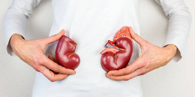 Böbrek sağlığını koruyan 12 gıda