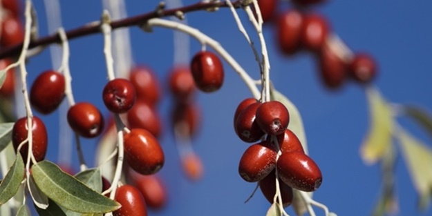 Böbrek şikayetleri olanlar, dikkat!