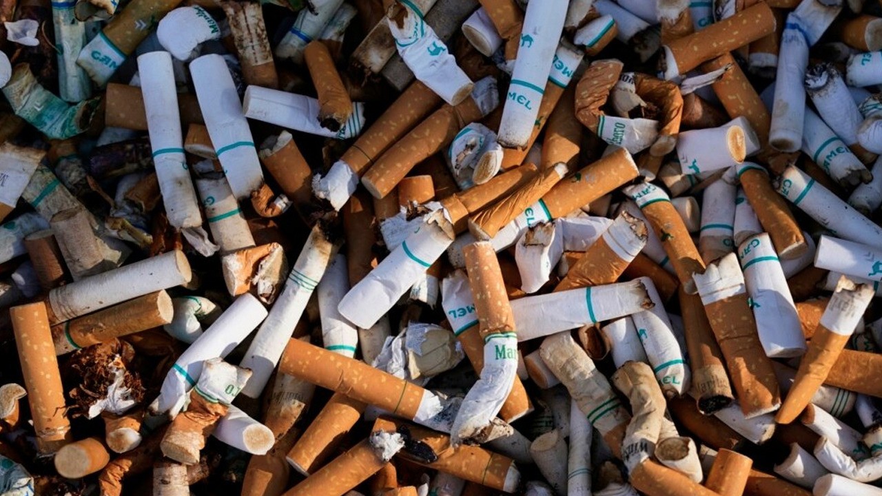 Böbrekleri korumanın yolu: Sigara içmek böbreklere zarar veriyor!