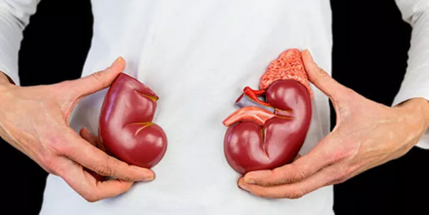 Böbrekleri koruyan 14 besin