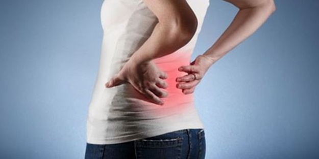 Böbreklerin 6 illeti var