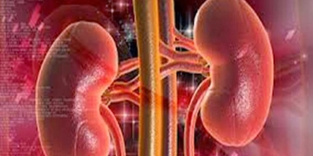 Böbreklerinizde sorun olduğunu nasıl anlarsınız?