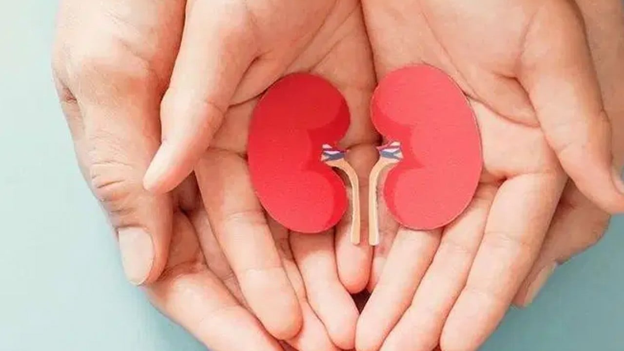 Böbreklerinize zarar veren 7 yaygın alışkanlık: Yeterli su , bilinçsiz ilaç kullanımı ve aşırı tuz...