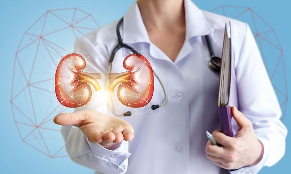 Böbreklerinizin sağlığı için bu 7 ürünü evlerinizden eksik etmemelisiniz!