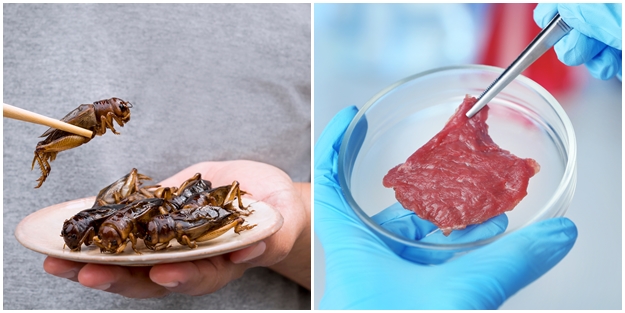 'Böcek' ve 'yapay et' yedirme planı! Bakın arkasından kimler çıktı