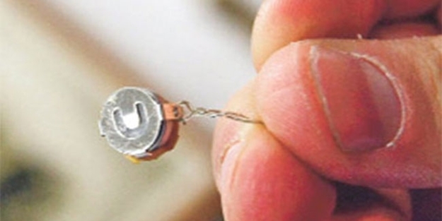 Böcek dosyası savcıda