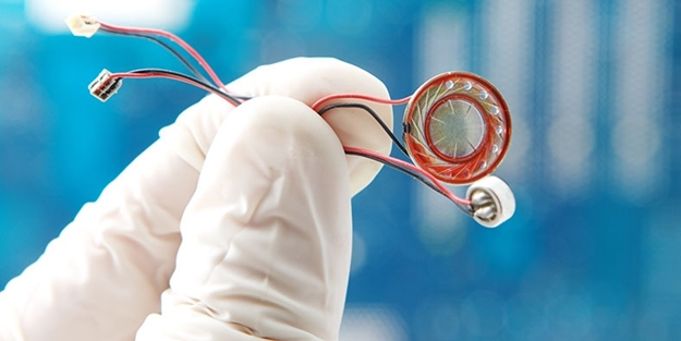 Böcekçi polisten o ülkenin kimliği çıktı!