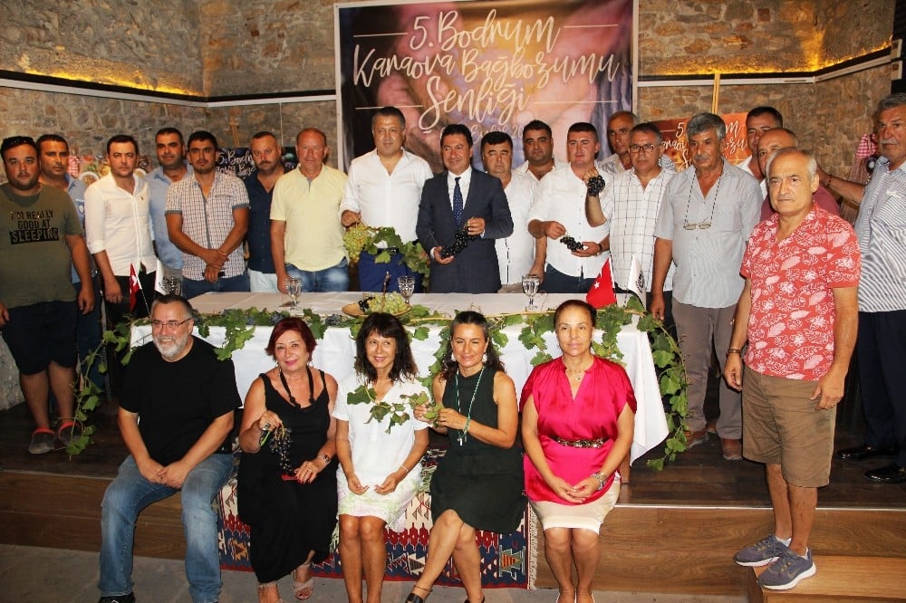 Bodrum bağlarında şenlik ateşi yanacak 