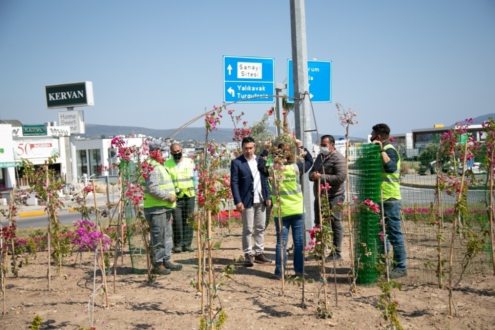 Bodrum çiçeklerle donatılıyor 