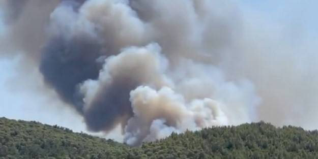 Bodrum ve Milas'tan acı görüntü
